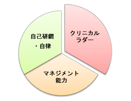 キャリアラダー